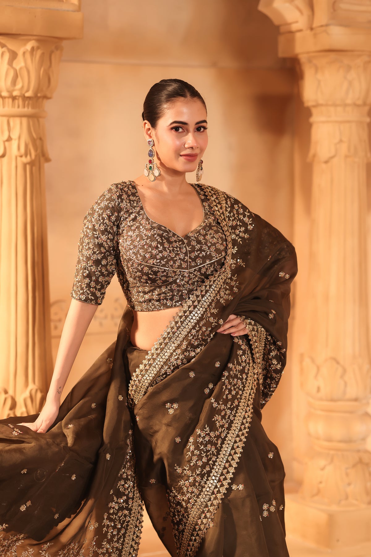 Dark Brown Embroidered Organza Saree